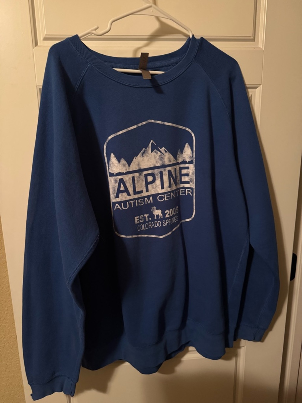 ALPINE Autism Center Blue Graphic Sweatshirt